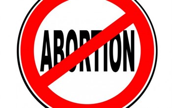 FLASH - Onu: Usa stanno formando coalizione anti-aborto e in difesa della Famiglia 1